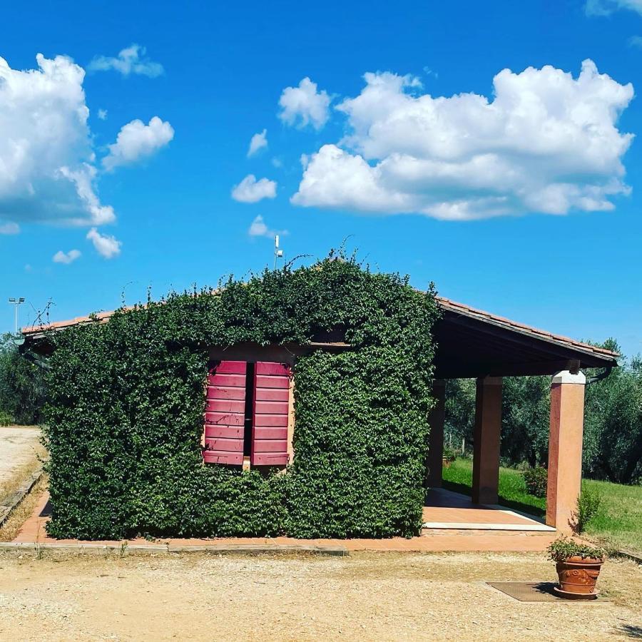 Tenuta Agricola Fraschiera Villa Massa Marittima Exterior foto