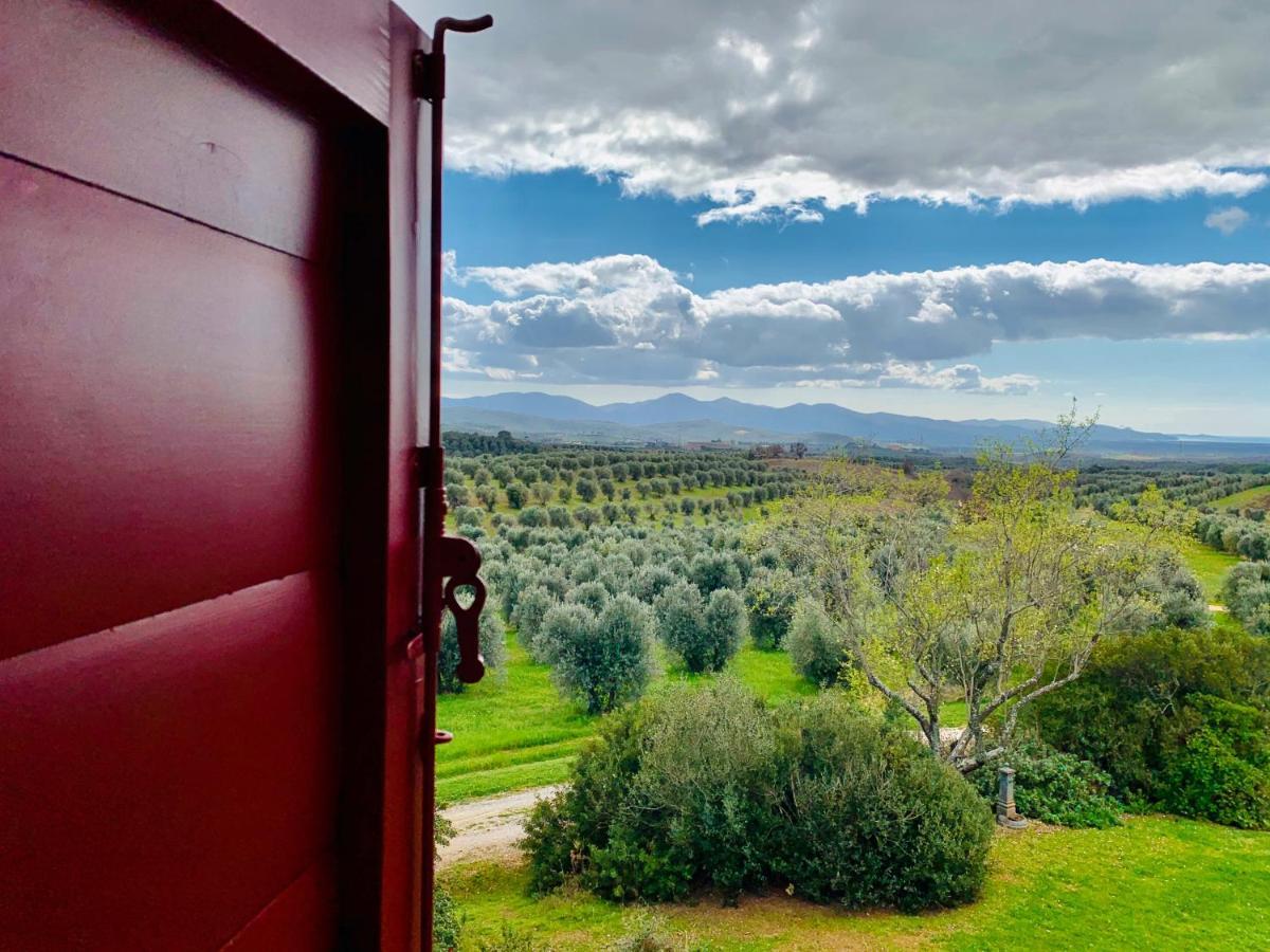 Tenuta Agricola Fraschiera Villa Massa Marittima Exterior foto