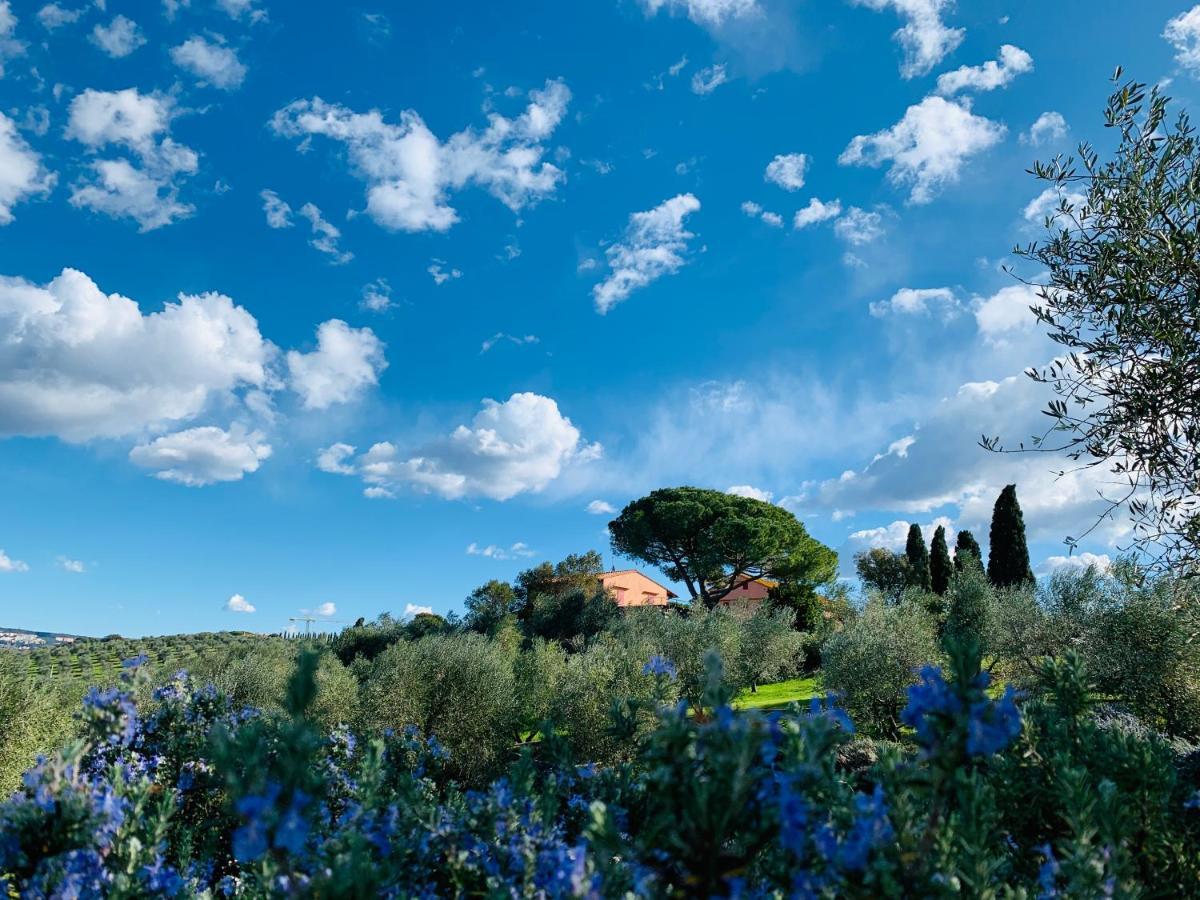 Tenuta Agricola Fraschiera Villa Massa Marittima Exterior foto