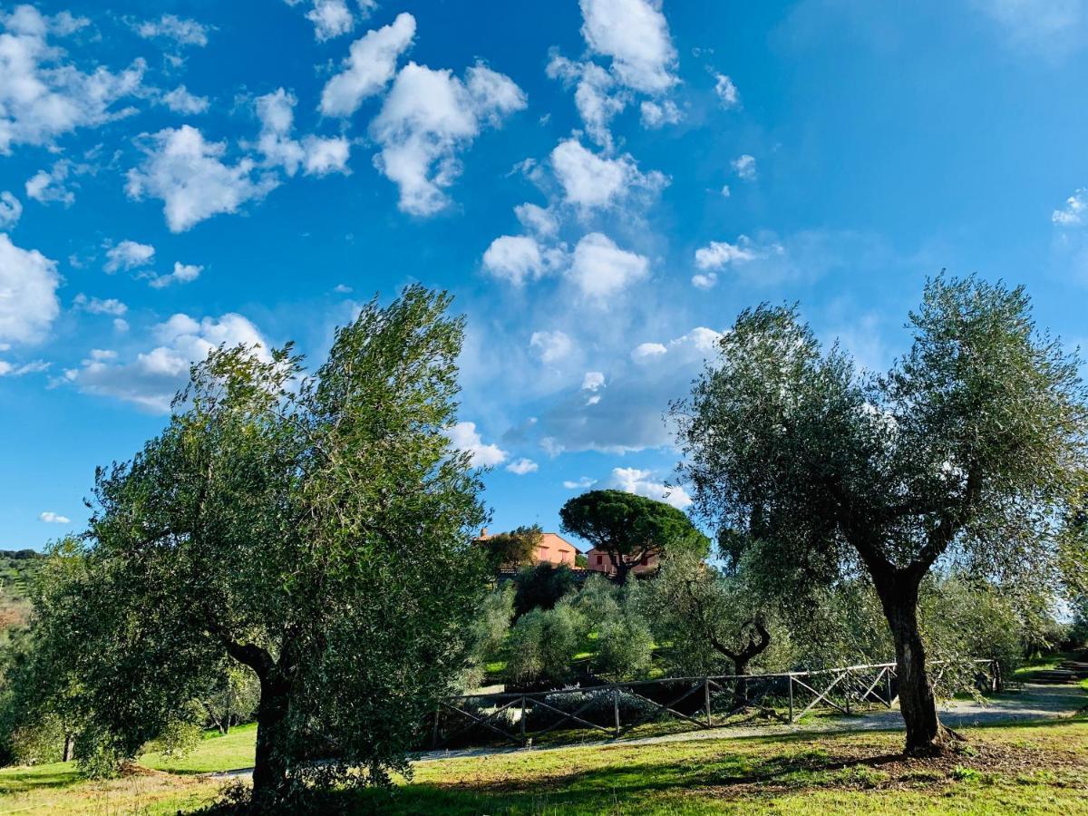 Tenuta Agricola Fraschiera Villa Massa Marittima Exterior foto