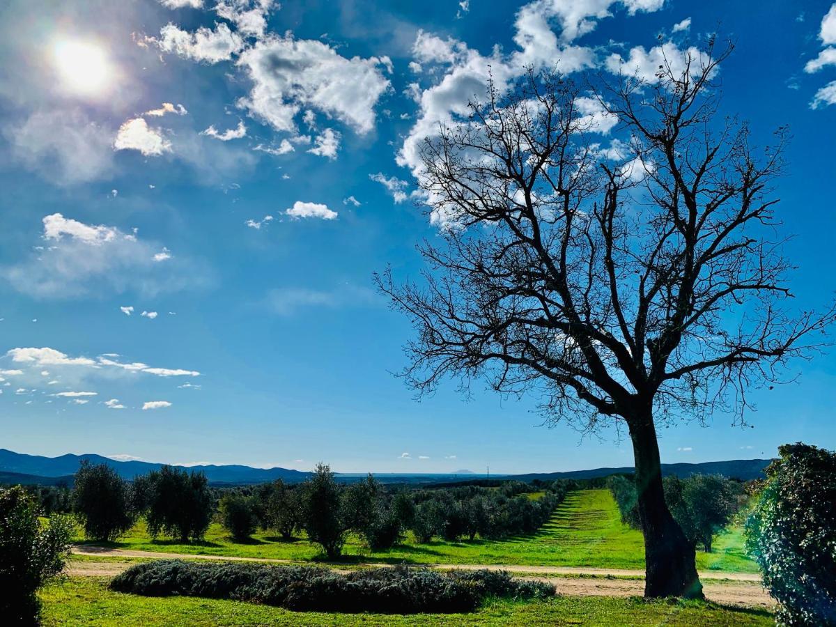 Tenuta Agricola Fraschiera Villa Massa Marittima Exterior foto