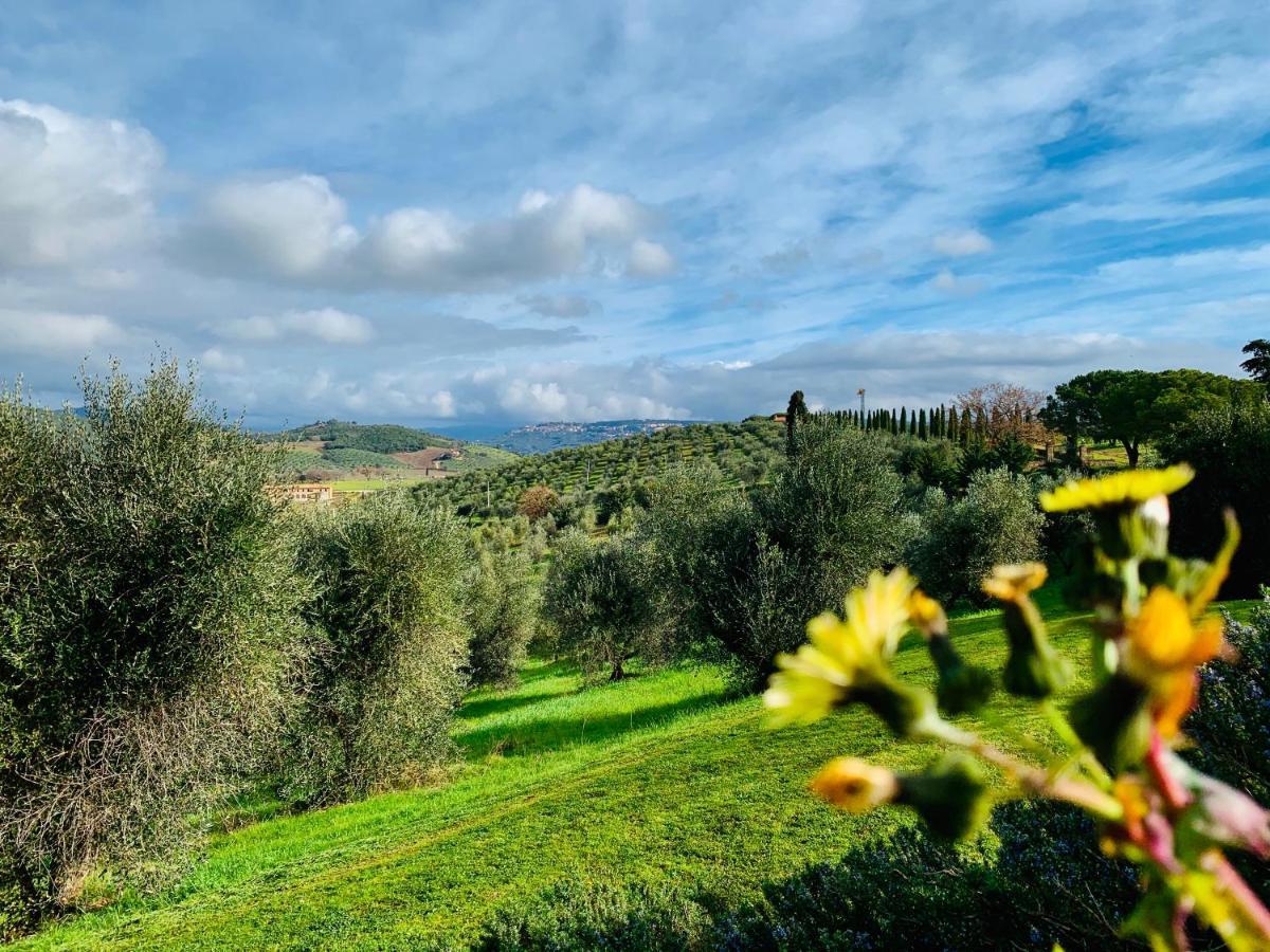 Tenuta Agricola Fraschiera Villa Massa Marittima Exterior foto