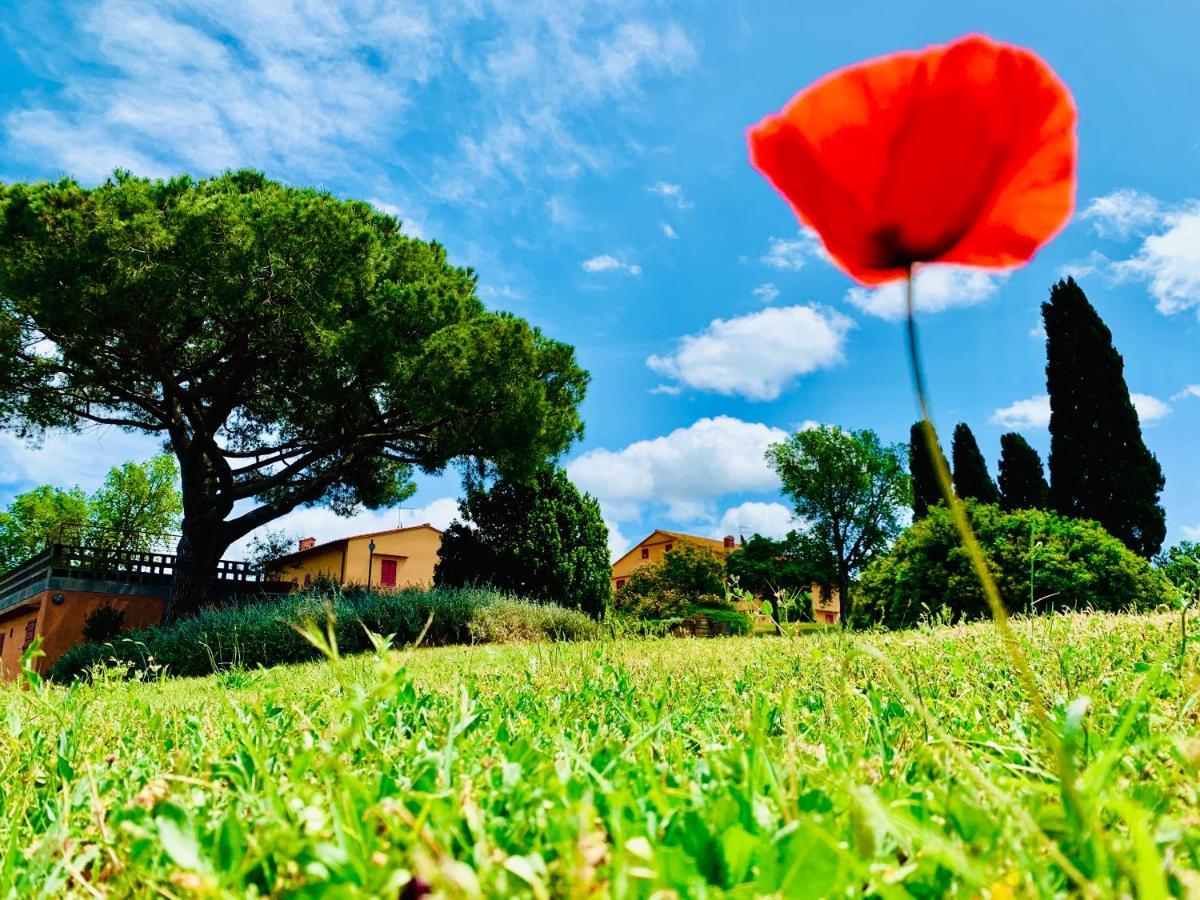 Tenuta Agricola Fraschiera Villa Massa Marittima Exterior foto